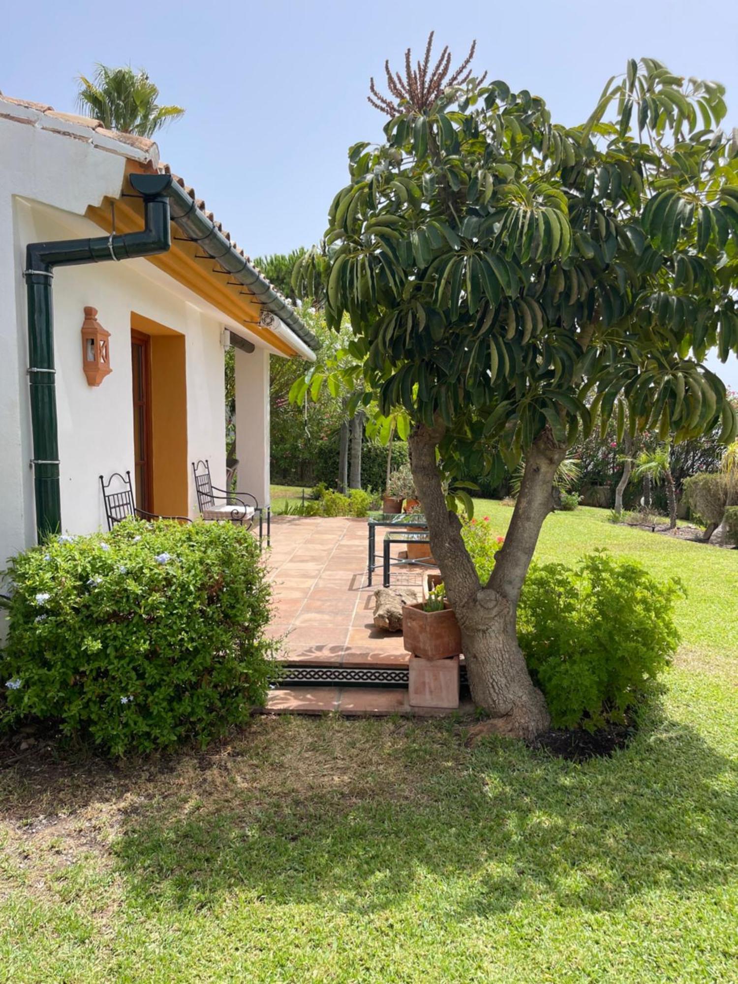 Finca Lechuza Михас Екстериор снимка